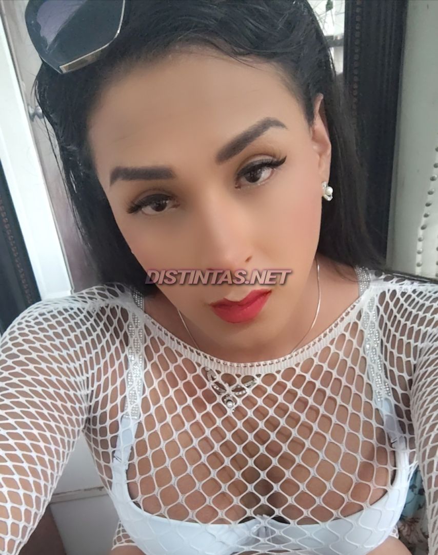 Brendita Latina