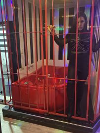 Mistress Carter