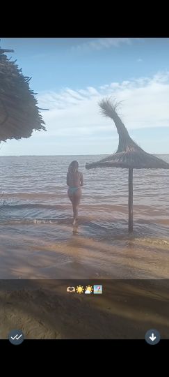 Rocio Houston