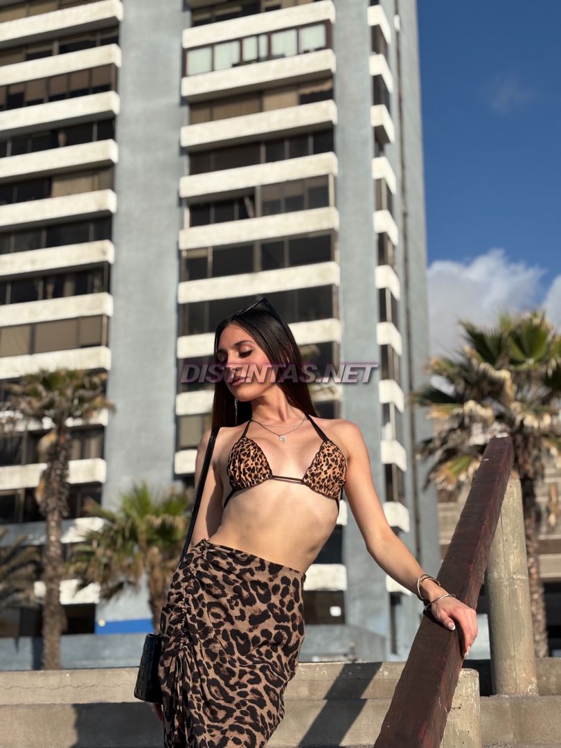 Salma tranny 