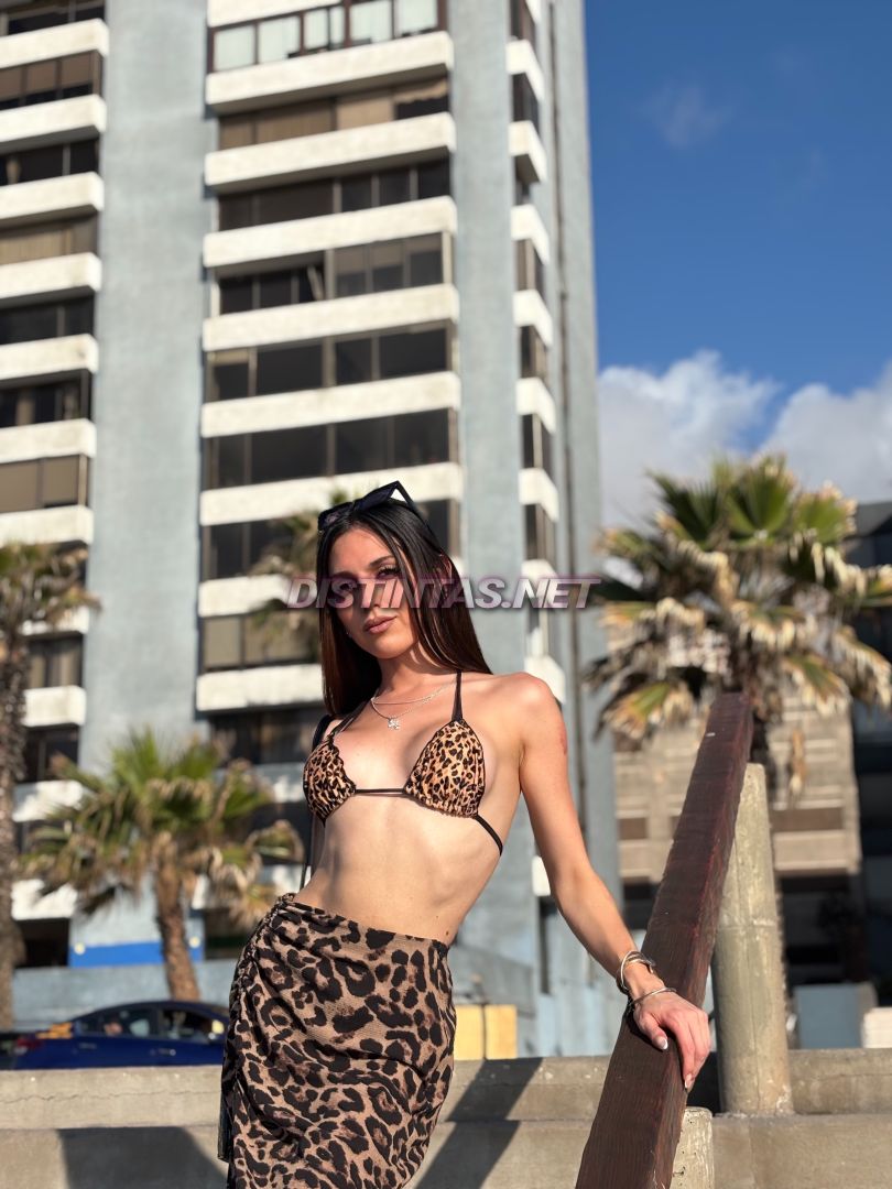 Salma tranny 