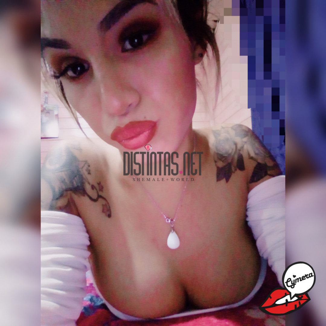 Hoteles y domicilios