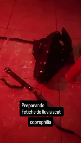 Bernarda G