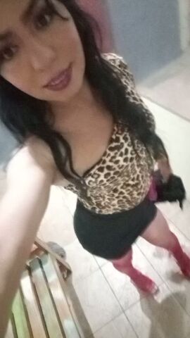 Gatita Britany