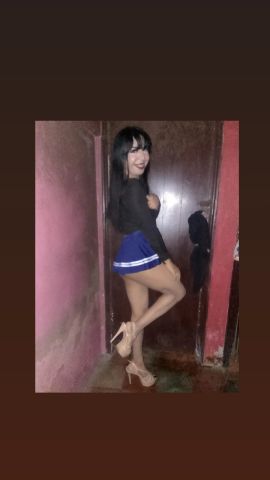 Gatita Britany