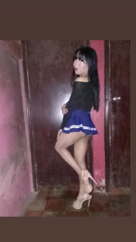 Gatita Britany