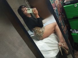 Gatita Britany