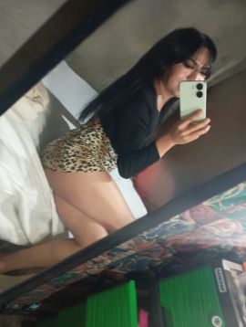 Gatita Britany