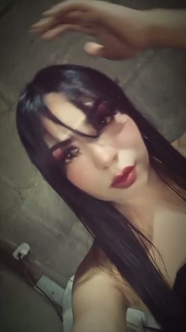 Gatita Britany