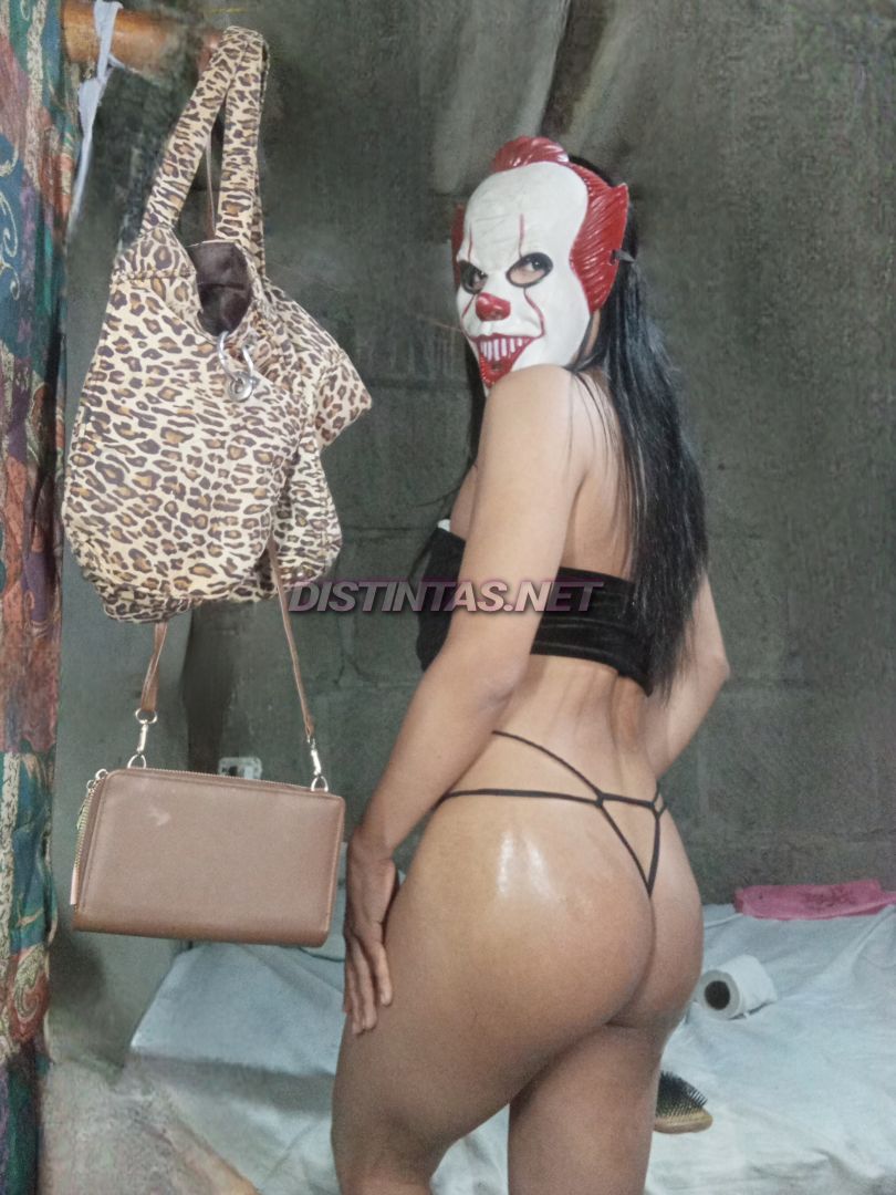 Gatita Britany