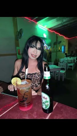 Gatita Britany