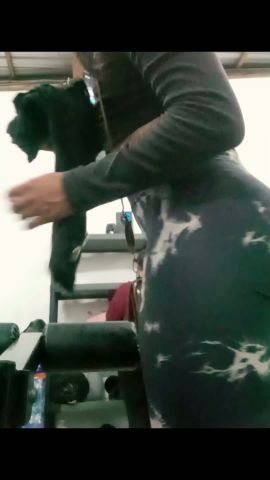 Gatita Britany