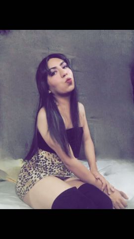 Gatita Britany