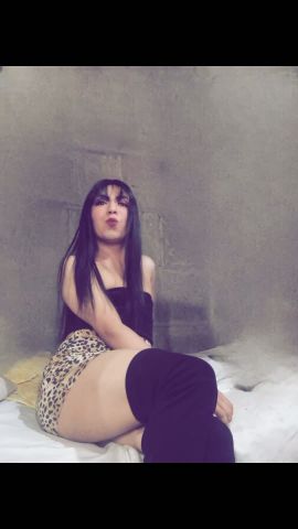 Gatita Britany