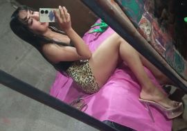 Gatita Britany