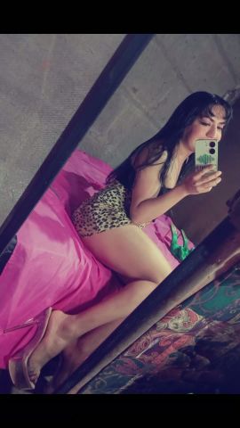 Gatita Britany