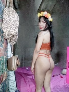 Gatita Britany