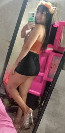 Gatita Britany