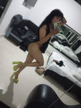 Gatita Britany