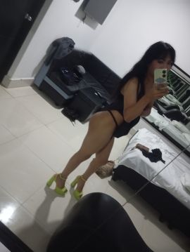 Gatita Britany