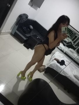 Gatita Britany