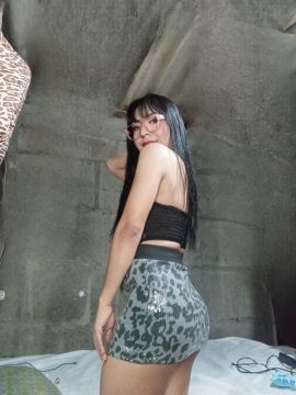 Gatita Britany