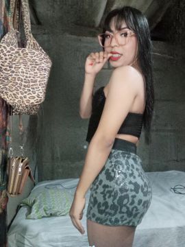 Gatita Britany