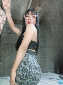 Gatita Britany