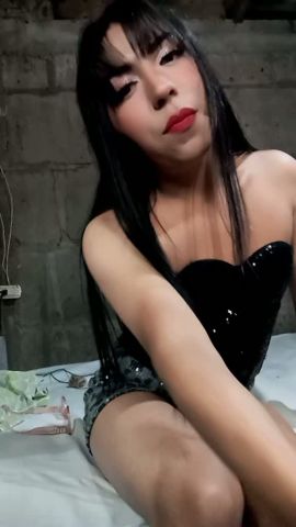 Gatita Britany