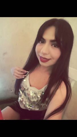 Gatita Britany