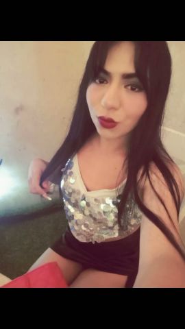 Gatita Britany