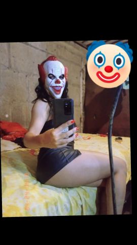 Gatita Britany
