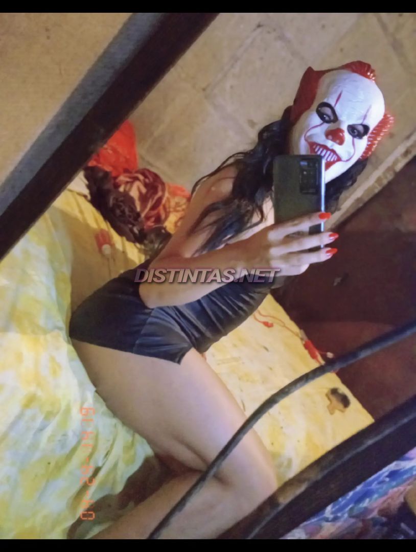 Gatita Britany