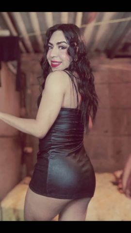 Gatita Britany