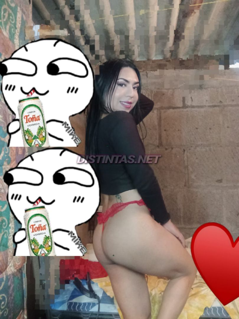 Gatita Britany