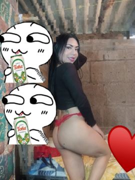 Gatita Britany