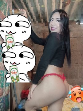 Gatita Britany