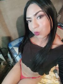 Gatita Britany