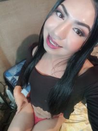 Gatita Britany
