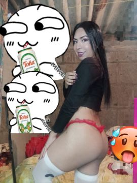Gatita Britany