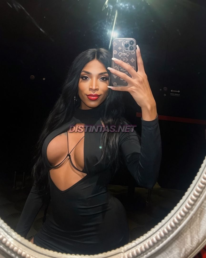 Diva Royal