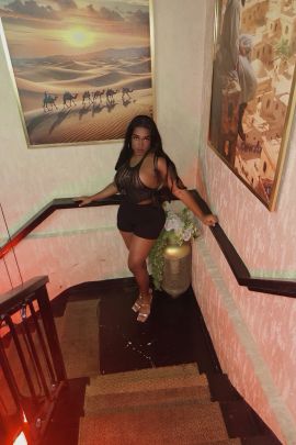 Geisha exotic trans 