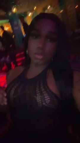 Geisha exotic trans 