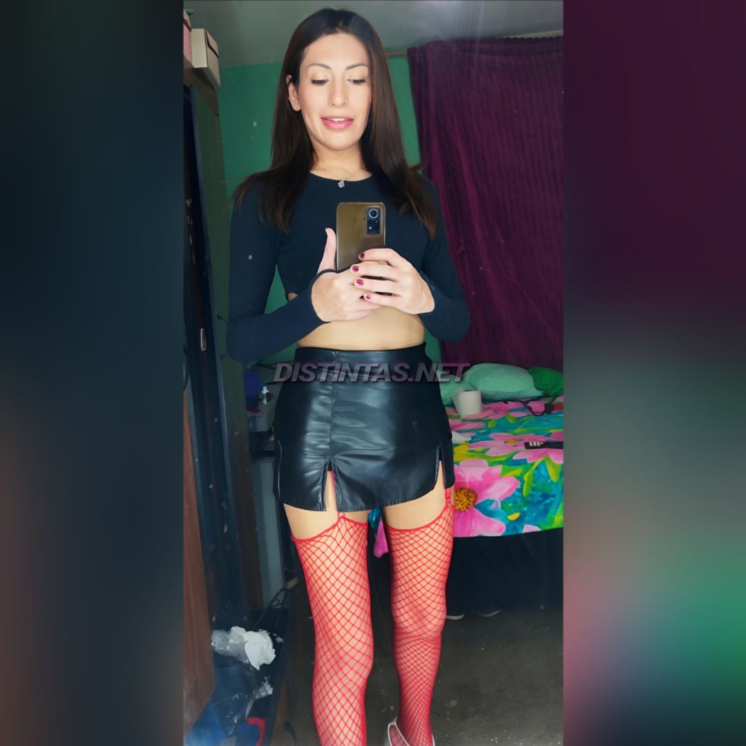 Miranda Montenegro