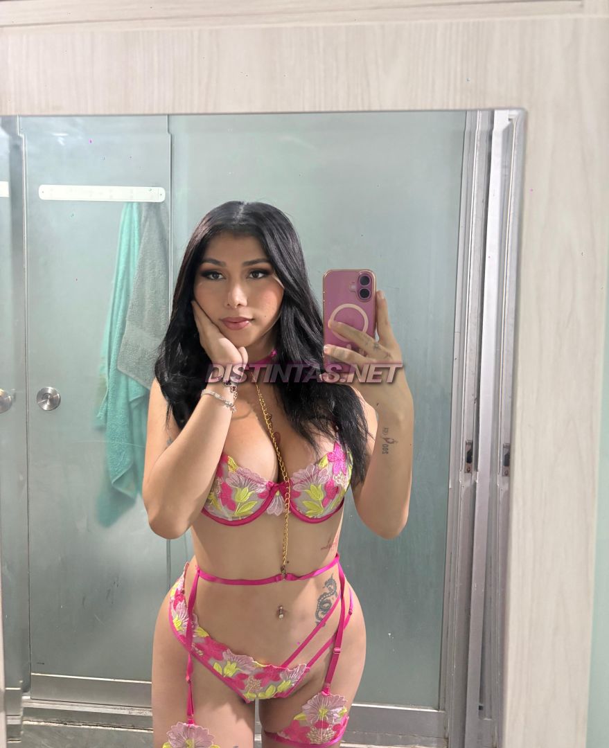 Miranda Rojas 