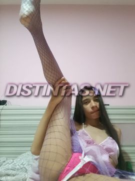 Gatita trans