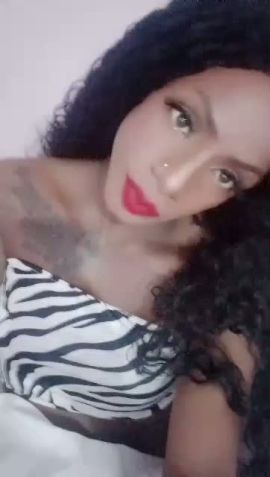 LA DAYII