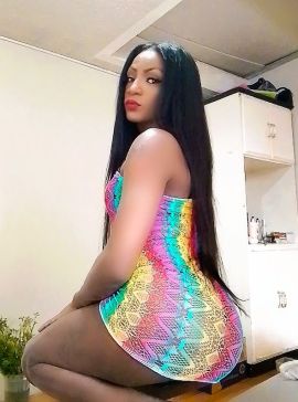 LA DAYII