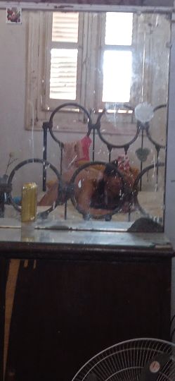 Beathriz 