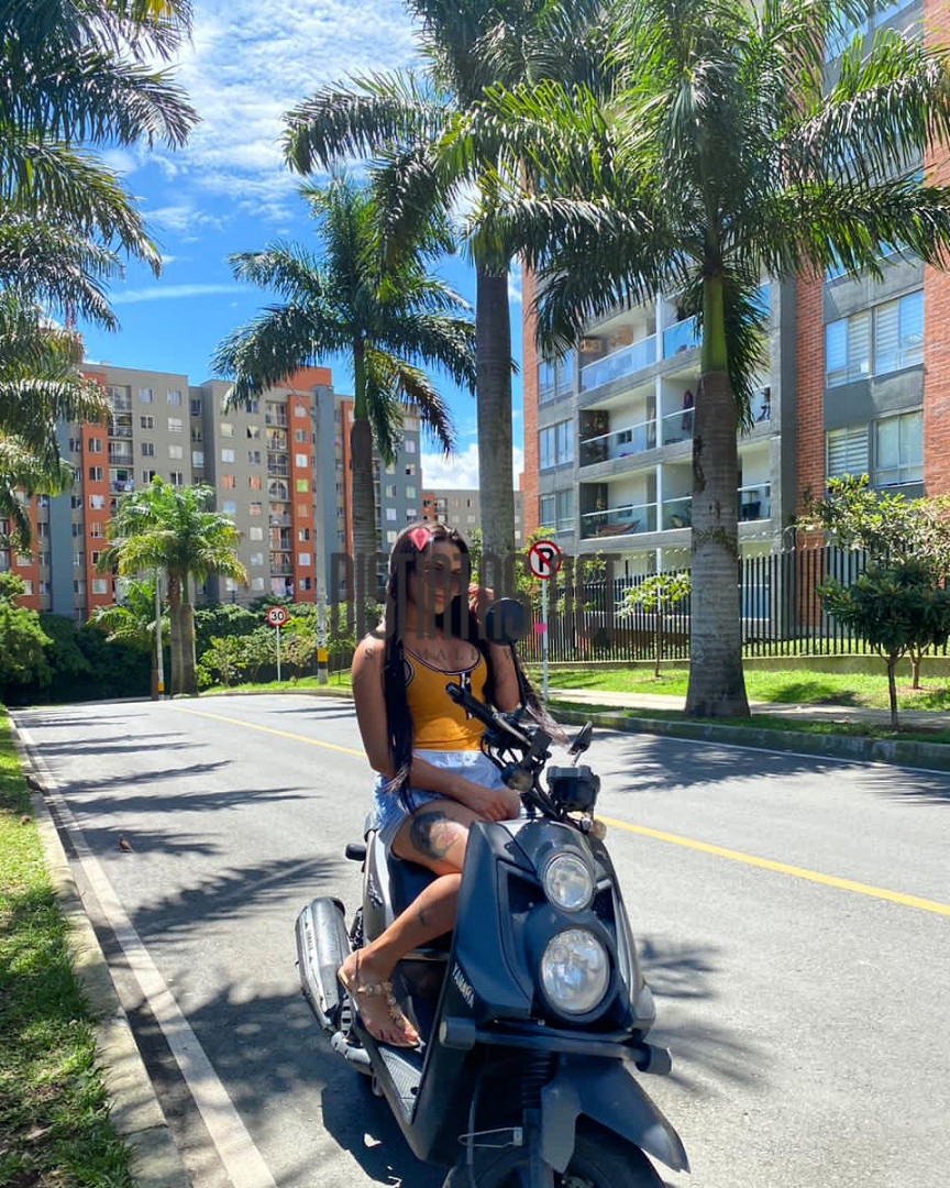 Yaris Activa
